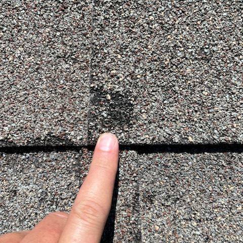 Storm Damage Inspection​